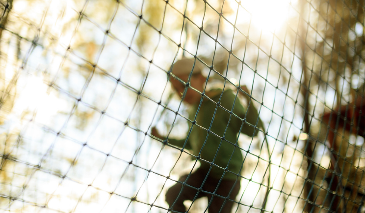 A Renewed Focus on Family Violence Services