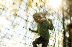 A Renewed Focus on Family Violence Services
