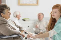 The Ever-Changing Landscape of the Disability Sector
