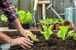 Hybrid Work Best Practices for Employers: A Tool for Managing Hybrid Teams Effectively