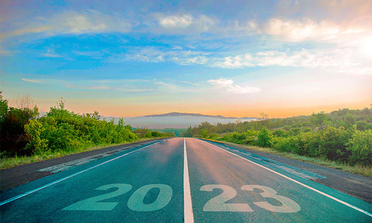 Andrew Leigh resolutions 2023