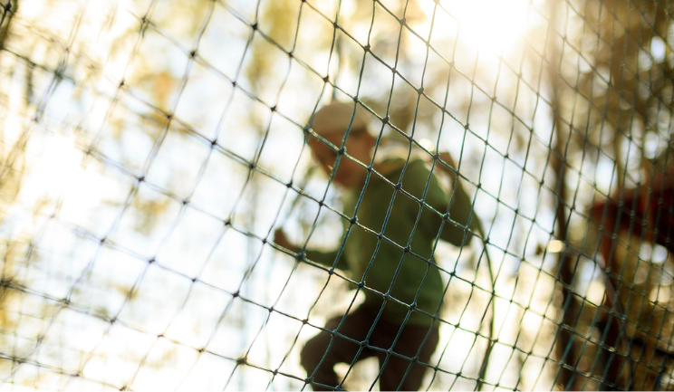 What Is Trauma-Informed Care and How Can You Practice It in the Community Sector?