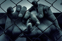 NSW petition to raise the age gets 63,000 signatures˜
