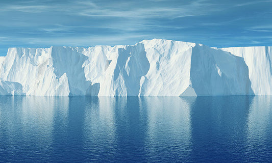 Arctic