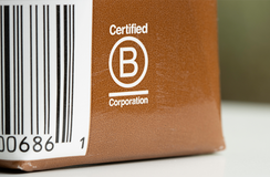 Have your say on the evolution of B Corp certification