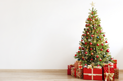 A story of legends, families and capitalism: a candid history of the Christmas tree