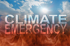 NFP sector must respond urgently to climate crisis