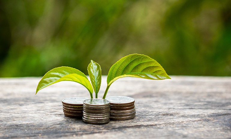 Small green plant shooting out from a pile of coins.