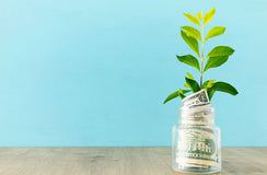 Giving back to nature by unlocking scale and speed