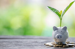 The platform changing the face of impact investing 