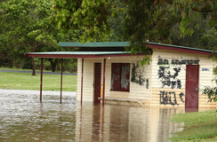 This month in ESG: Govt promises, biodiversity and greenwashing in focus