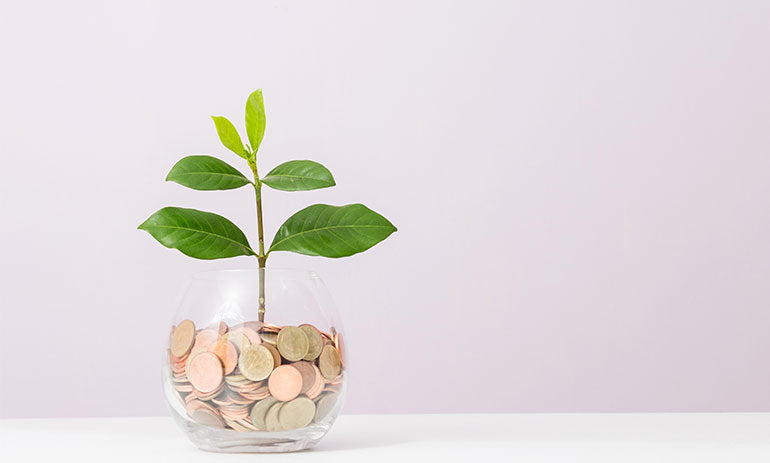 Investing in a low-emissions future|Investing in a low-emissions future