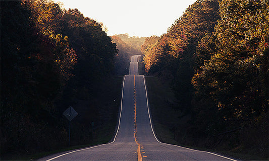 Looking down a long road. The road goes up and down several hills into the distance. On either side is a forest. The light is golden.