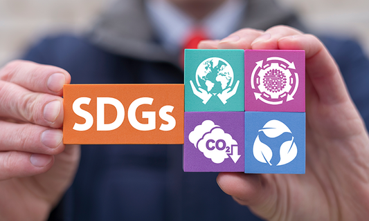 Man holding sustainable development building blocks with pictures of sustainability.