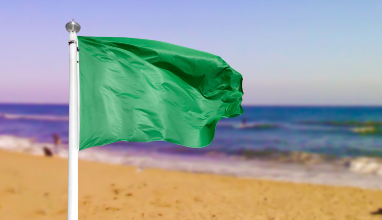 The 11 green flags of a great employee, what are yours?