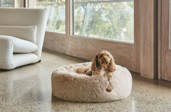 The five values driving eco-friendly pet bedding