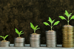 UBS Optimus Foundation to launch Australian chapter