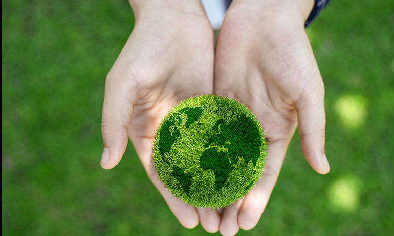 ESG focus propelling KPMG sustainability success