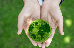 ESG focus propelling KPMG sustainability success