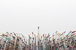 Sacred Heart Mission appoints new CEO