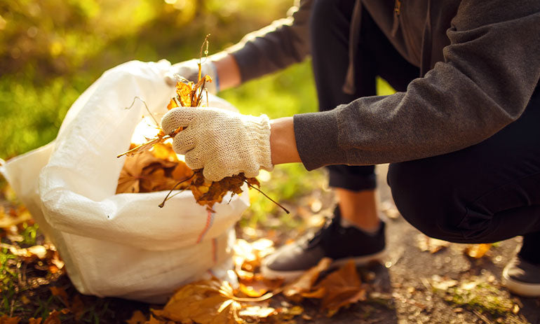 Volunteering Tasmania
