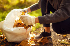 Program aims to create culture of volunteering in Tasmania