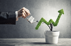 Green financing tops fossil fuel investment for first time
