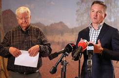 The carbon credits review focused on transparency, but has it missed the mark?