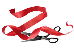 Exclusive: Governance standard three ?unnecessary?, says HOOC