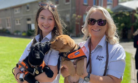 Guide Dogs Victoria staff with, in white shirts, hold some of the puppy graduates. One dog is black and one is gold.|Antony, wearing a blue jacket and beige pants, stands with guide dog graduate Brett in a garden.|||