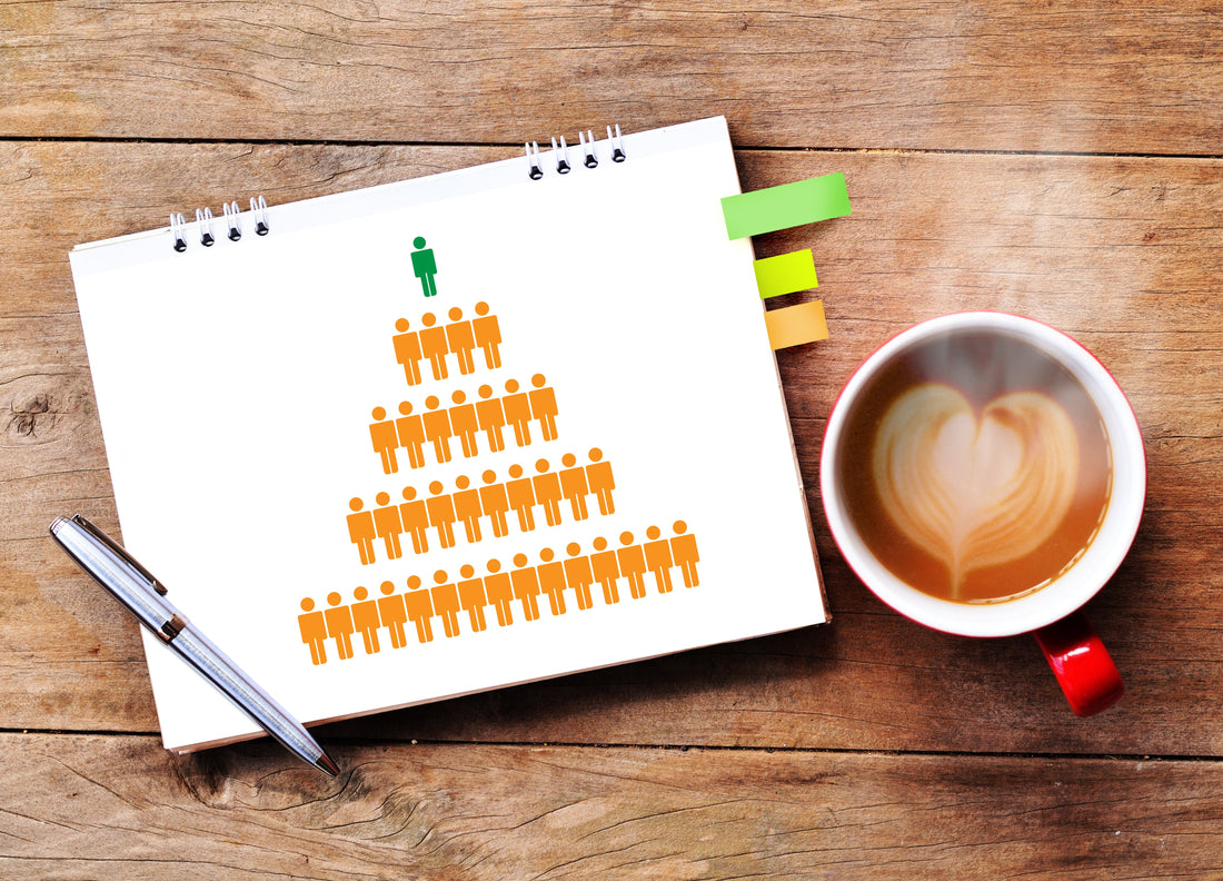 CEO transition challenges: Why Boards can unintentionally set CEOs up to struggle