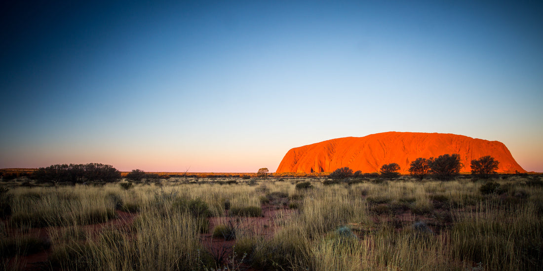 First Nations Support Initiatives: A Focus on Mental Health and Economic Empowerment.