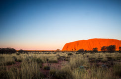 First Nations Support Initiatives: A Focus on Mental Health and Economic Empowerment.