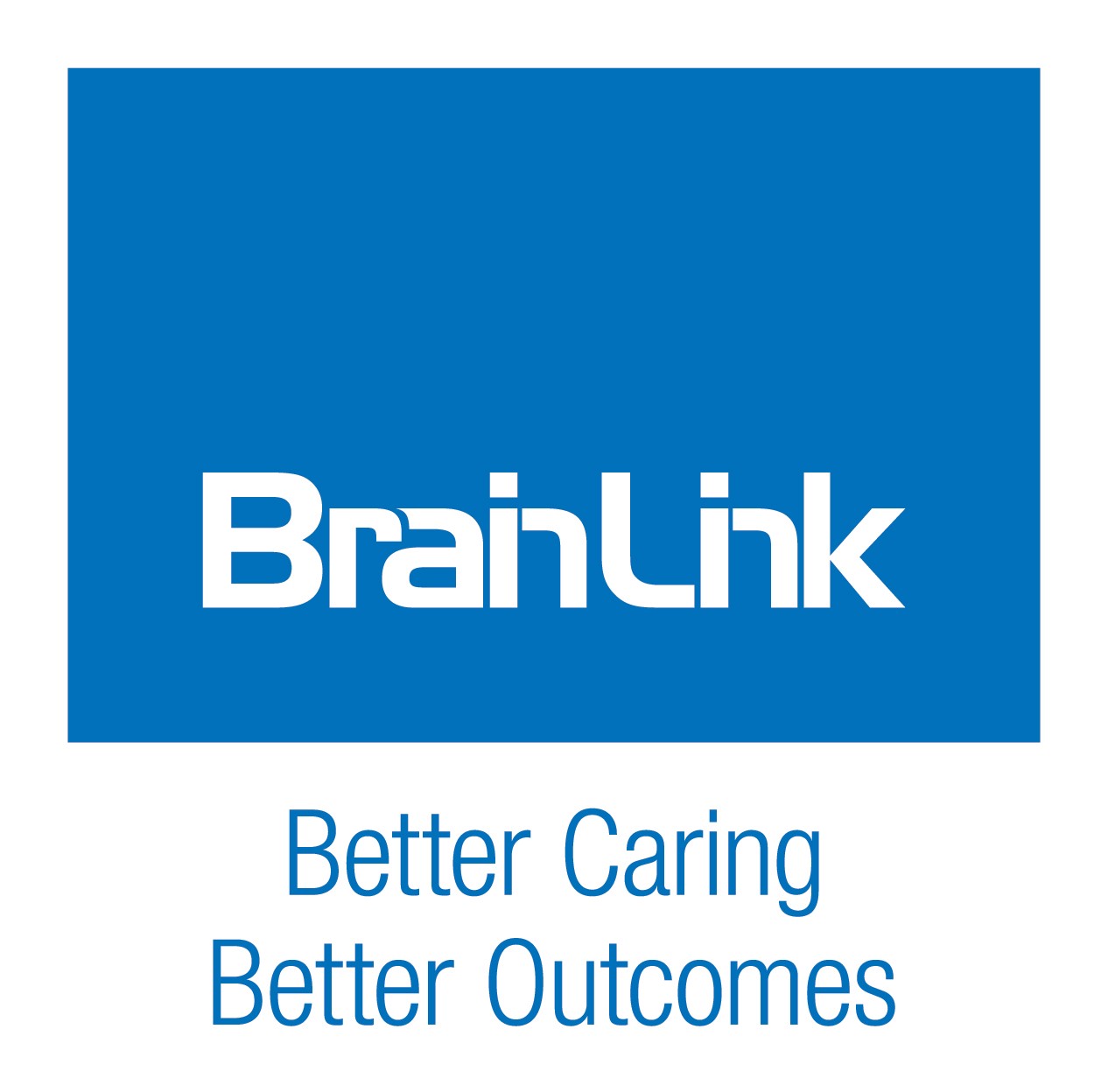 BrainLink Services Ltd - Pro Bono Australia