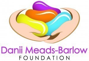 Danii Foundation Danii Foundation