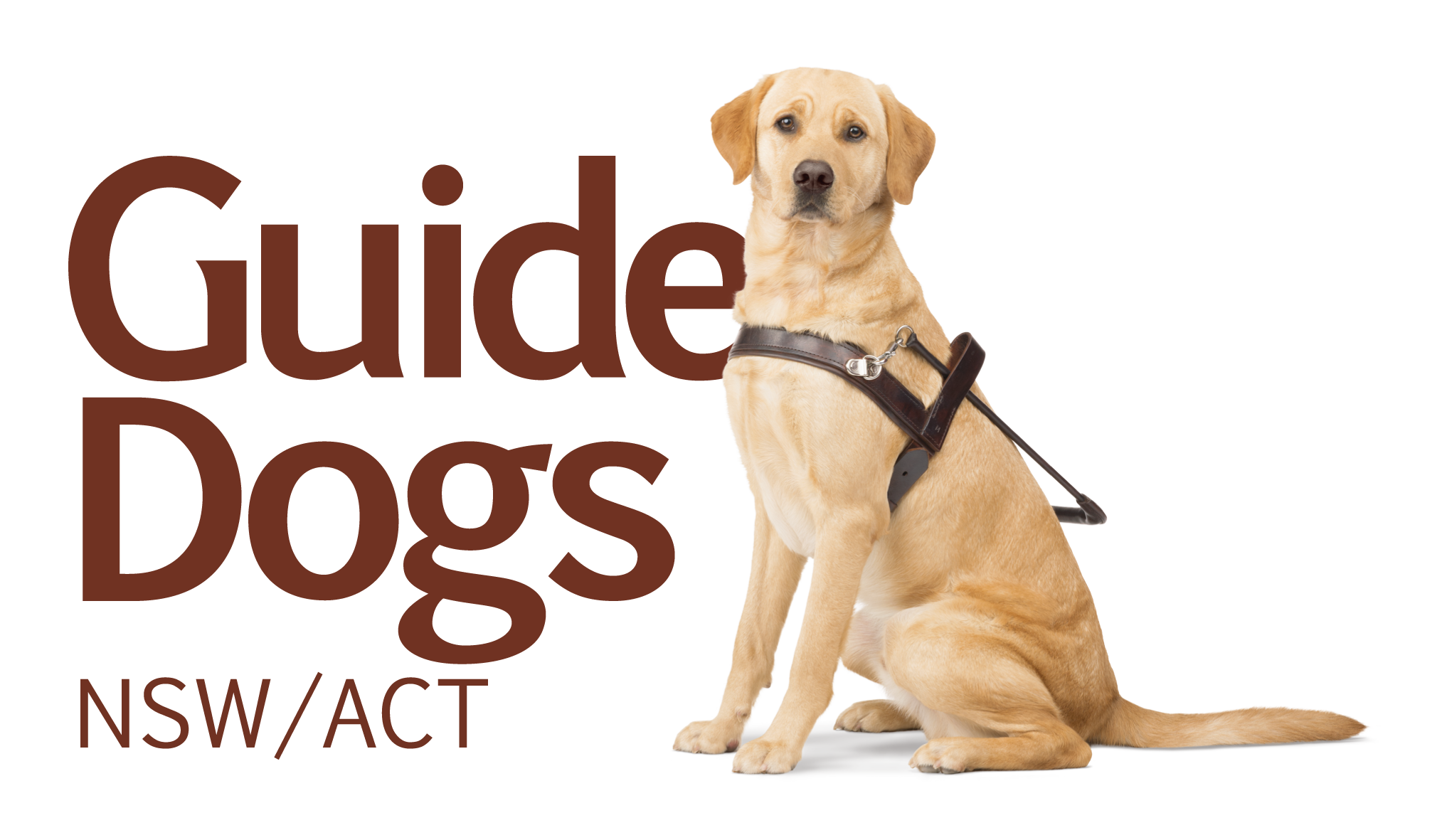 Pets guide. Guide Dog. Dog перевод. Страхование домашних животных. Щенок ассоциации.