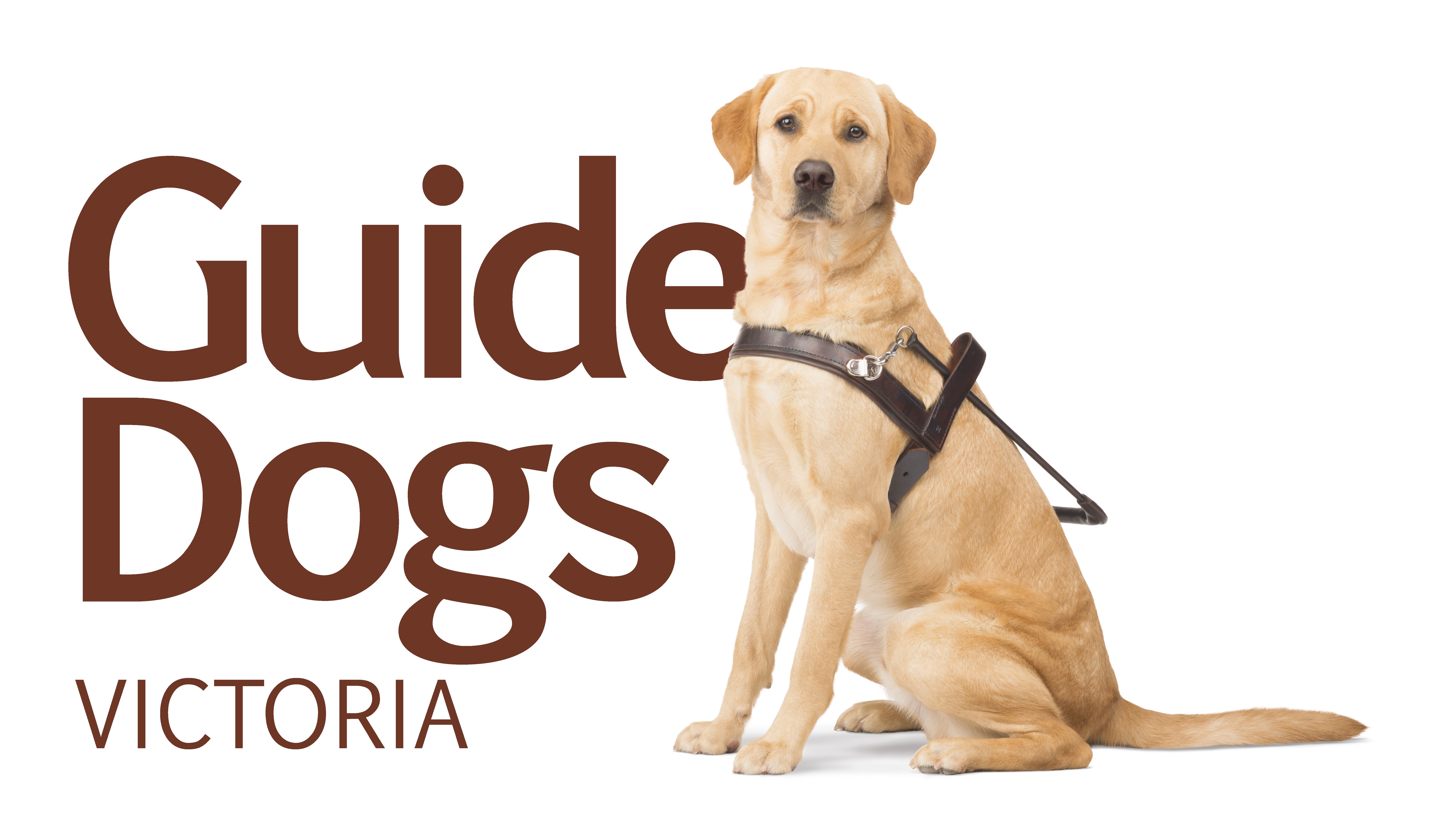 Guide Dogs Victoria Pro Bono Australia