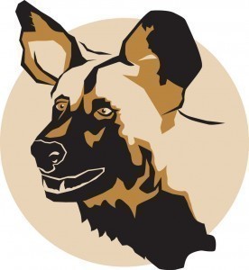 Painted Dog Conservation Inc