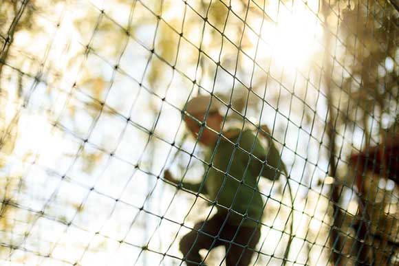 Boy behind a net