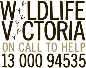 Wildlife Victoria Inc Wildlife Victoria Inc