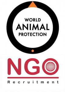 Communications Officer at World Animal Protection via NGO Recruitment - Jobs