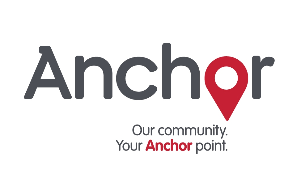 board-member-non-executive-director-at-anchor-inc-volunteers