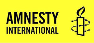 National Board Member - Amnesty International Australia