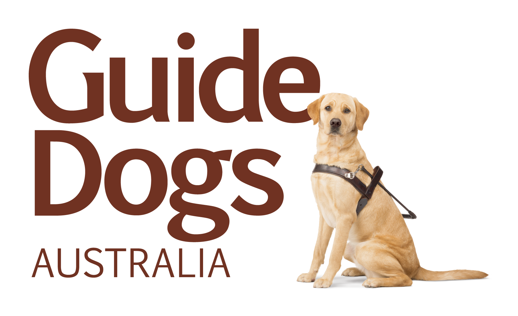 National Corporate Partnerships Coordinator At Guide Dogs Austarlia Jobs