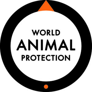 Corporate Engagement Advisor at World Animal Protection
