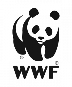 Head of Conservation (Singapore)