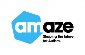 Amaze Inc. Non Executive Board Directors