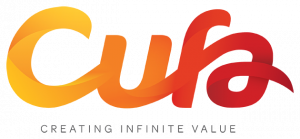 Director (Voluntary - Expenses Paid) Director (Voluntary - Expenses Paid)