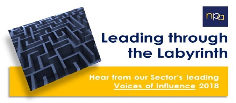 Leading through the Labyrinth: the social sector 2018