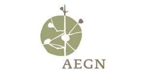 AEGN Communications Manager